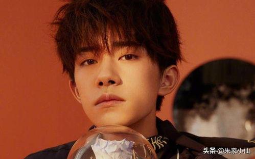 娱乐吃瓜酱杨洋,娱乐吃瓜酱中的璀璨明星